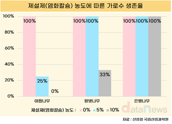 겨울철 가로수, 염화칼슘 제설제로 몸살 앓아