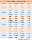 영풍그룹에선 부채비율 100%도 높다