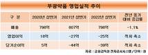 OCI 품에 안긴 부광약품, 그룹 상장사 중 나홀로 적자
