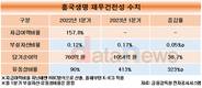 흥국생명, 자회사형 GA 7월 출범…몸집 더 커질까