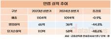 안랩, 상반기 영업이익 36억…전년 대비 44.8%↓