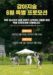 강아지숲, ‘6월 특별 프로모션’ 온라인 진행