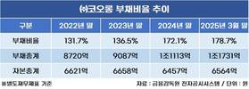 ㈜코오롱 부채비율, 국내 지주사 평균보다 4배 높다