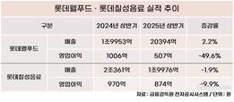 수익성 빨간불 켜진 롯데 식품군…웰푸드·칠성 동반 부진