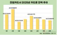 카드론 잔액, 3개월 연속 감소세…가계대출 규제 영향