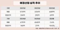 이익 줄고 부담 늘었다…애경산업의 험로