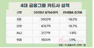 4대 금융 카드사, 순이익 역성장…역대급 실적낸 지주사와 대비