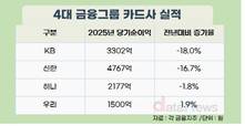 4대 금융 카드사, 순이익 역성장…역대급 실적낸 지주사와 대비