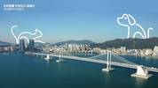 펫닥, 부산시와 손잡고 ‘일상의 돌봄’ 캠페인 전개 “반려동물 문화 정착 추진”