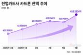 카드론 대출 다시 증가…43조 돌파 역대 최대