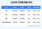 LG전자, 국내서 더 컸는데…유럽·신흥국 보는 이유