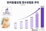 1000억 넘긴 펫보험 시장…손보업계, 선점경쟁 치열