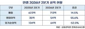 안랩, 2분기 영업이익 56% 성장