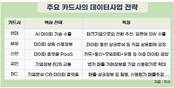 카드업계, 수수료·대출사업 막히자 ‘결제 데이터’에서 금맥 찾기