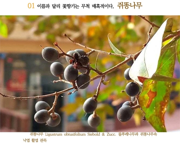 [신간 미리보기] 그렇지만 물은 흘렀고 꽃도 폈다