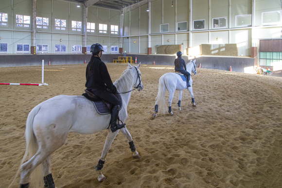 경기관광공사, 경기도 설날 여행지 추천