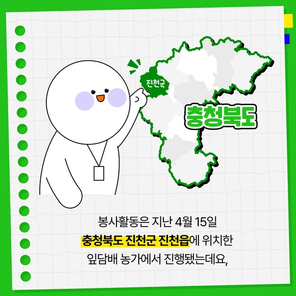 [카드뉴스] KT&G, 잎담배 농가 모종이식 봉사활동 진행