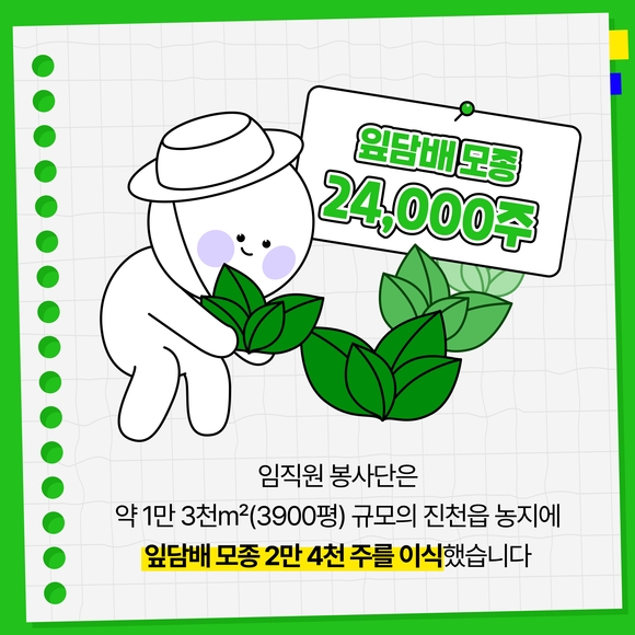 [카드뉴스] KT&G, 잎담배 농가 모종이식 봉사활동 진행